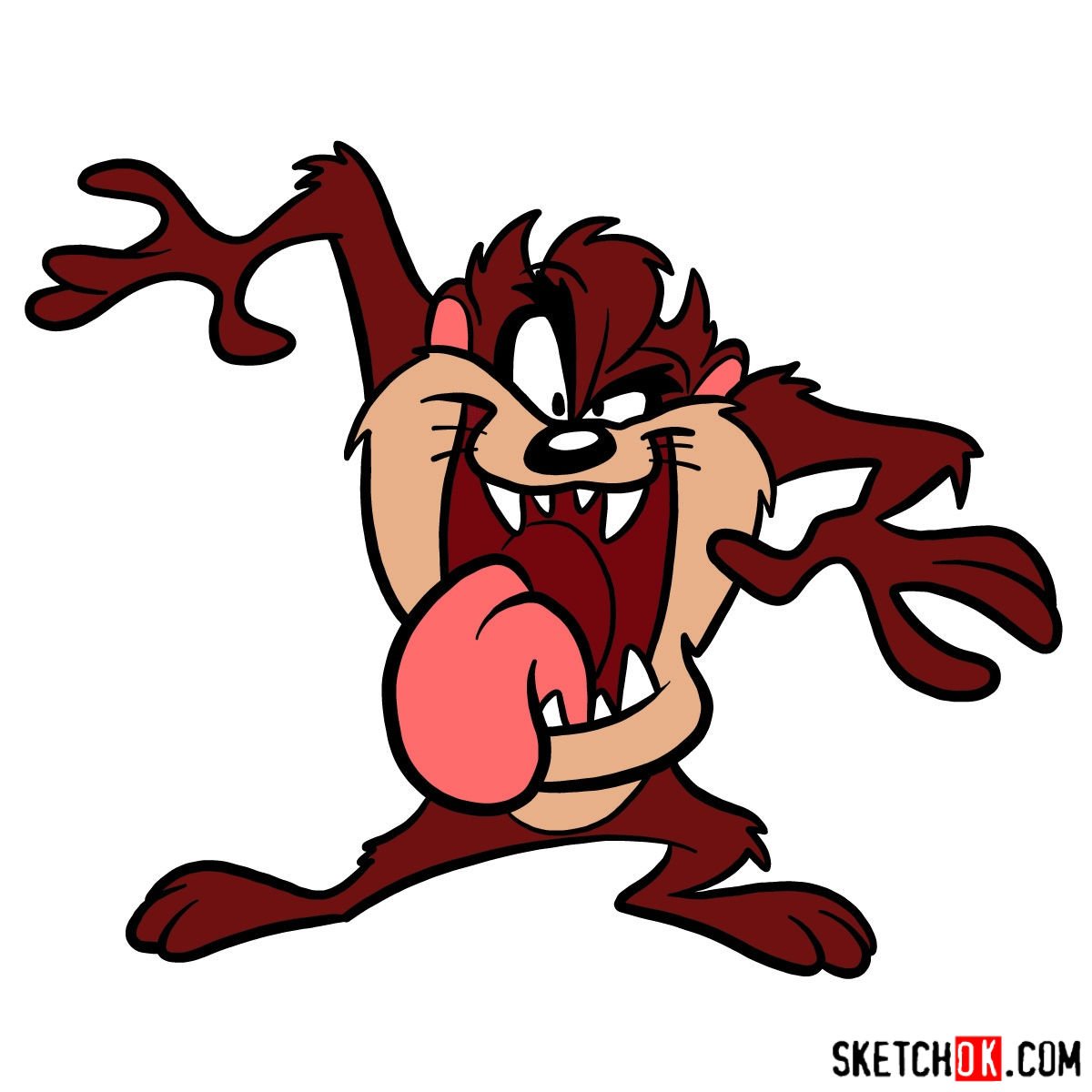 How to draw Taz the Tasmanian Devil - Sketchok easy drawing guides