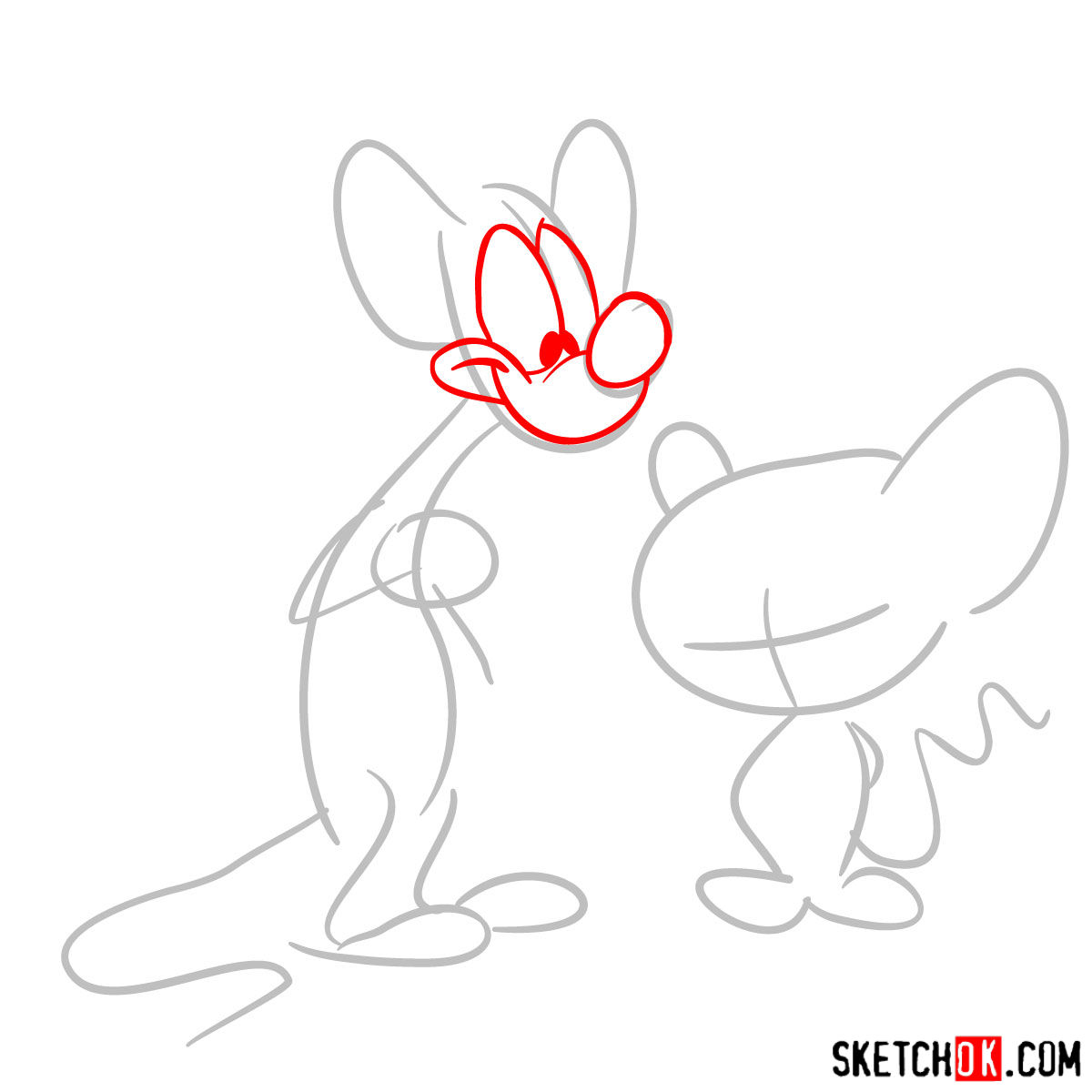 How to draw Pinky and the Brain together - step 02