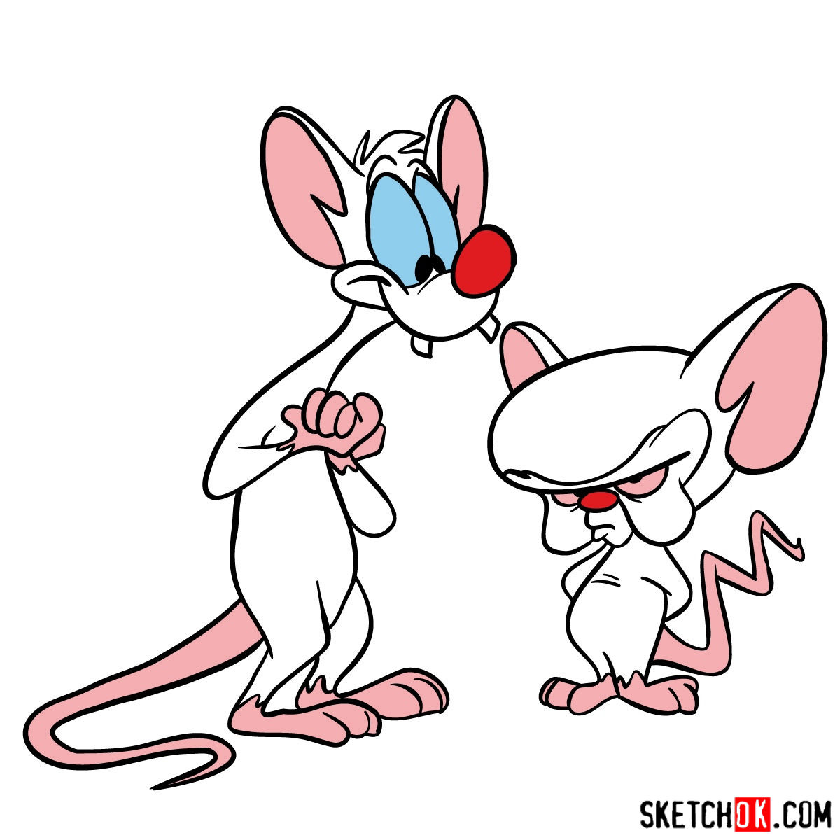 How to draw Pinky and the Brain together - Sketchok easy drawing guides