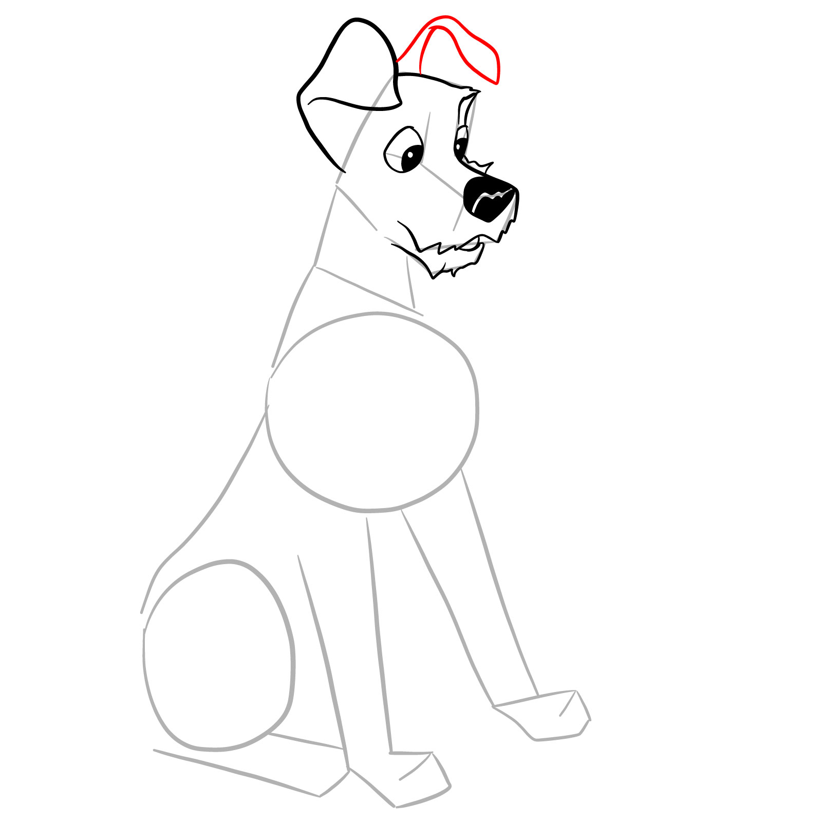 How to draw Tramp (Lady and the Tramp) - step 12