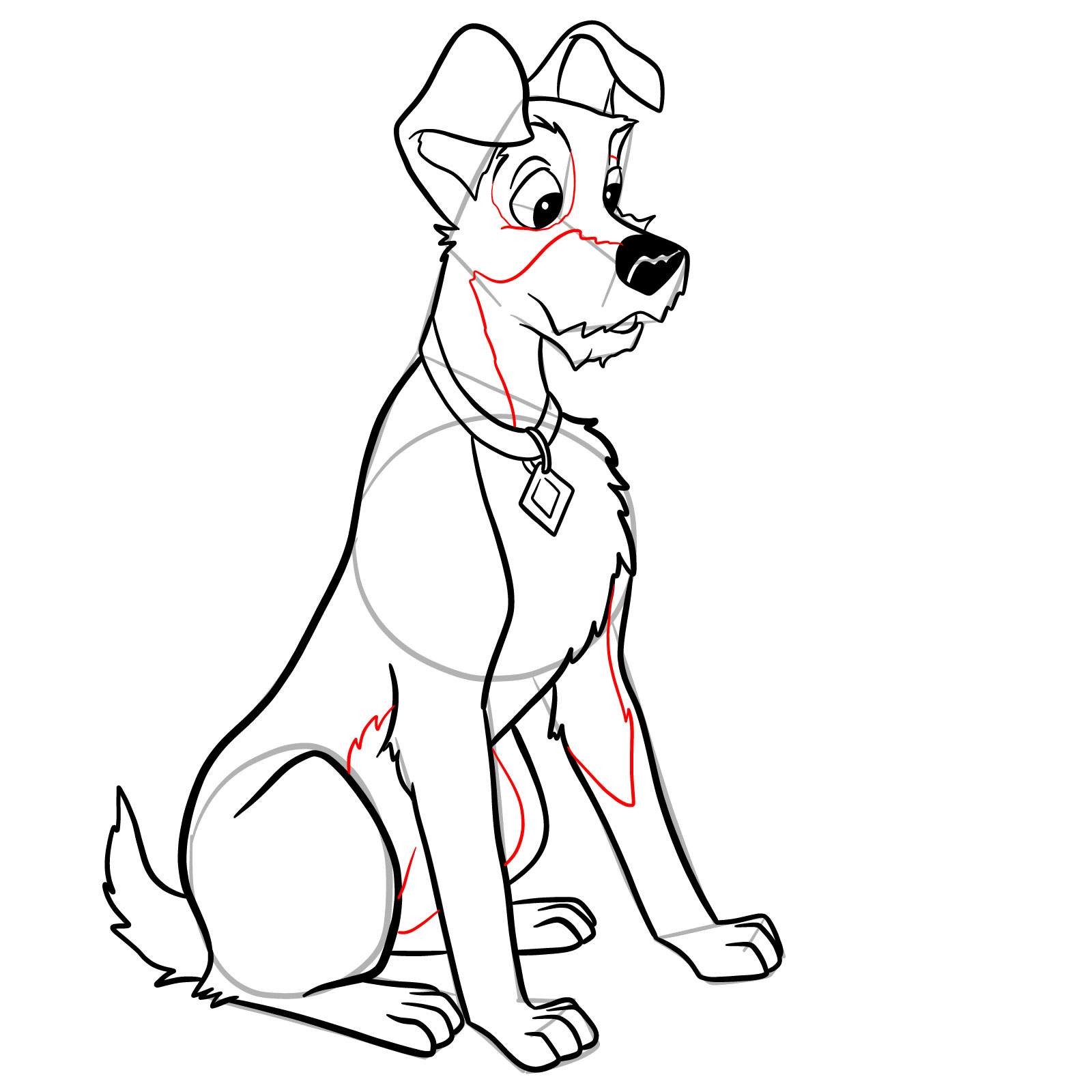How to draw Tramp (Lady and the Tramp) - step 30