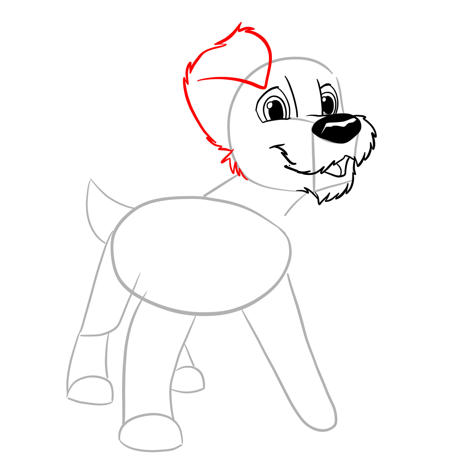 How to draw Scamp - step 11