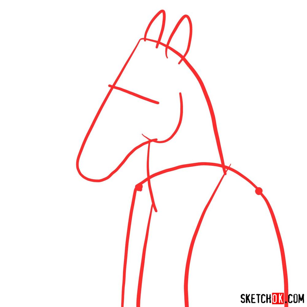 Another example how to draw BoJack Horseman - step 01