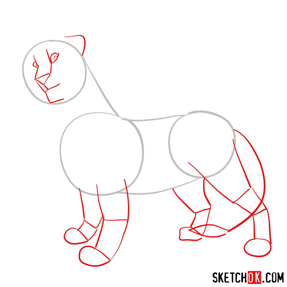 How to draw adult Simba | The Lion King - step 02