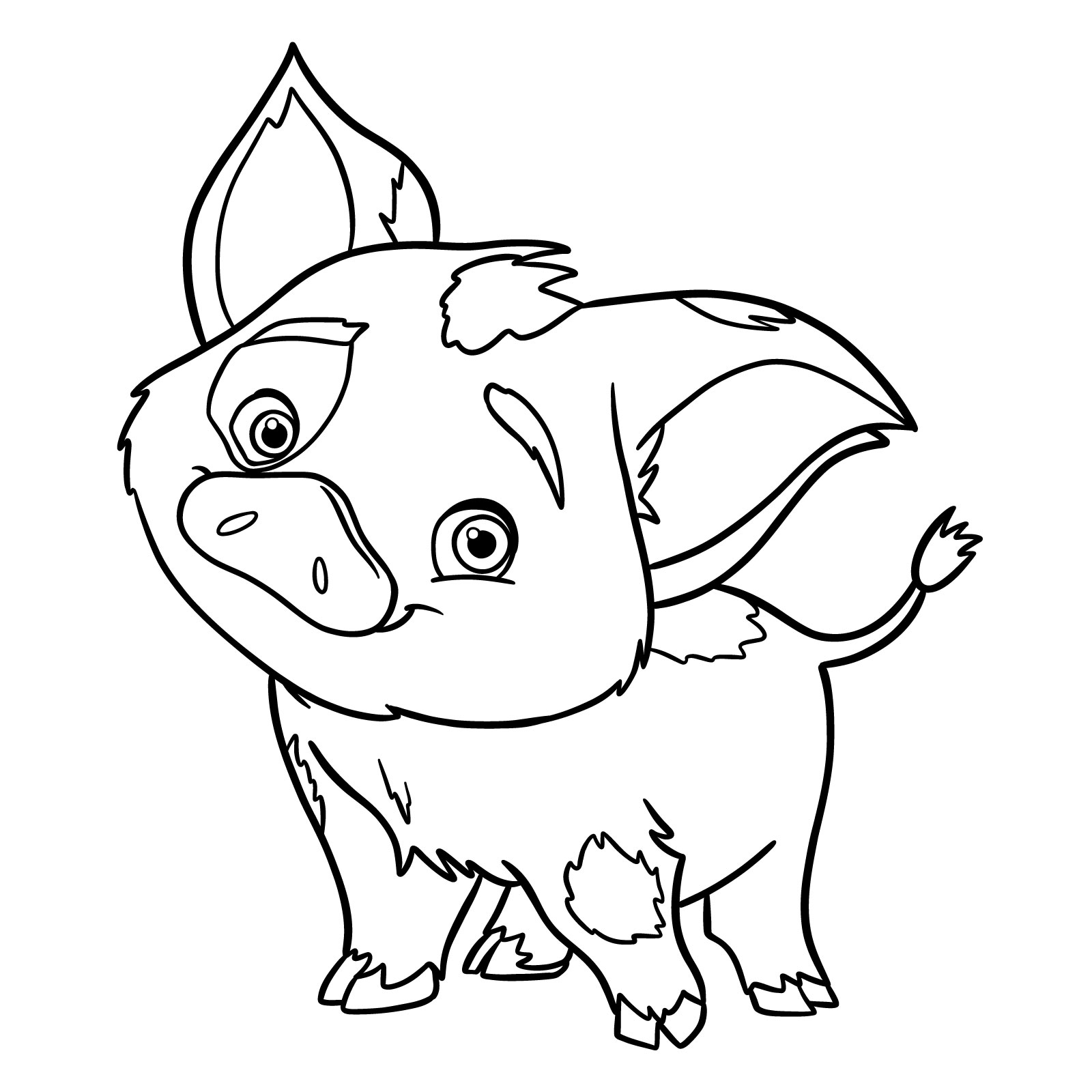 How to Draw Pua from Moana - step 17