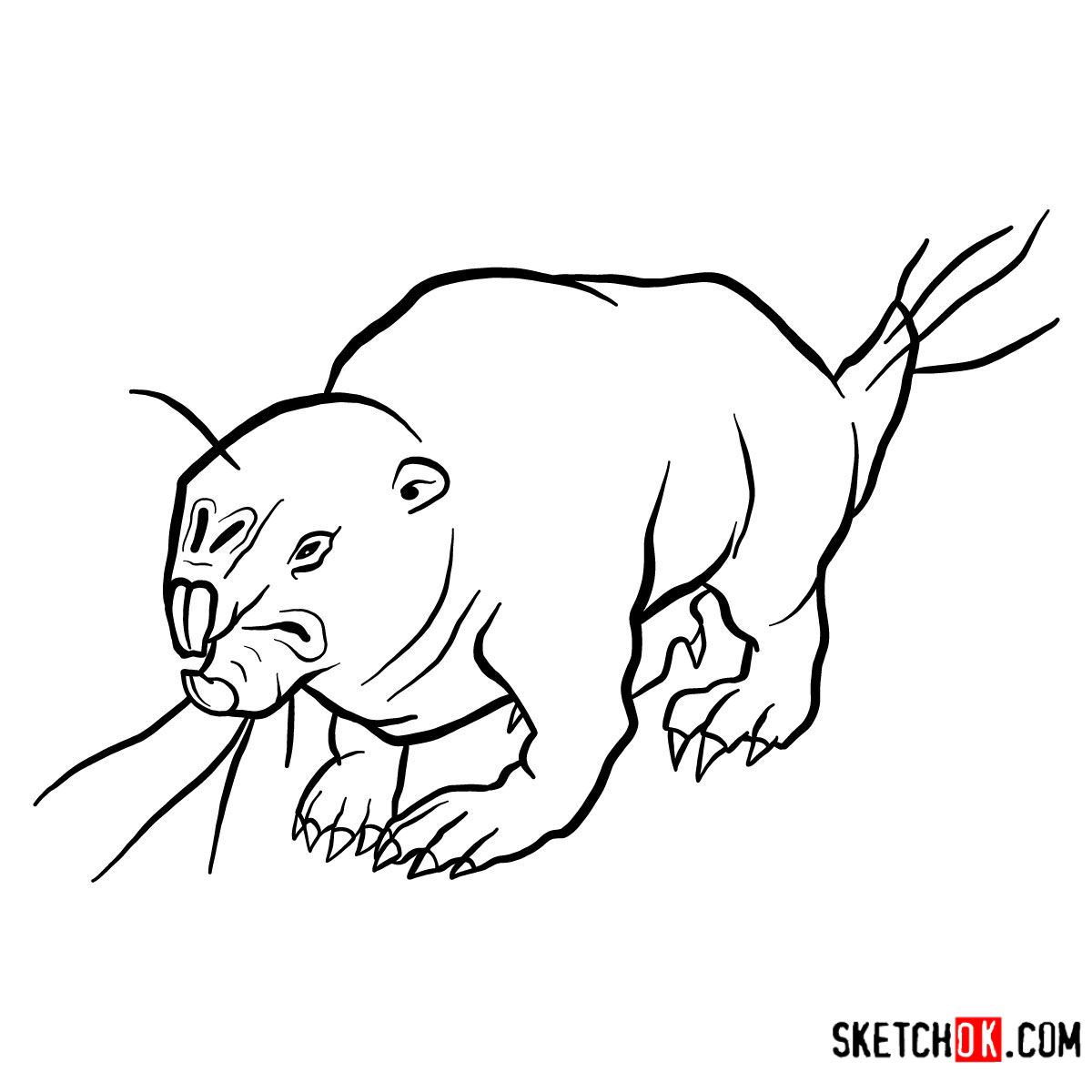 How to draw the Mole rat | Fallout