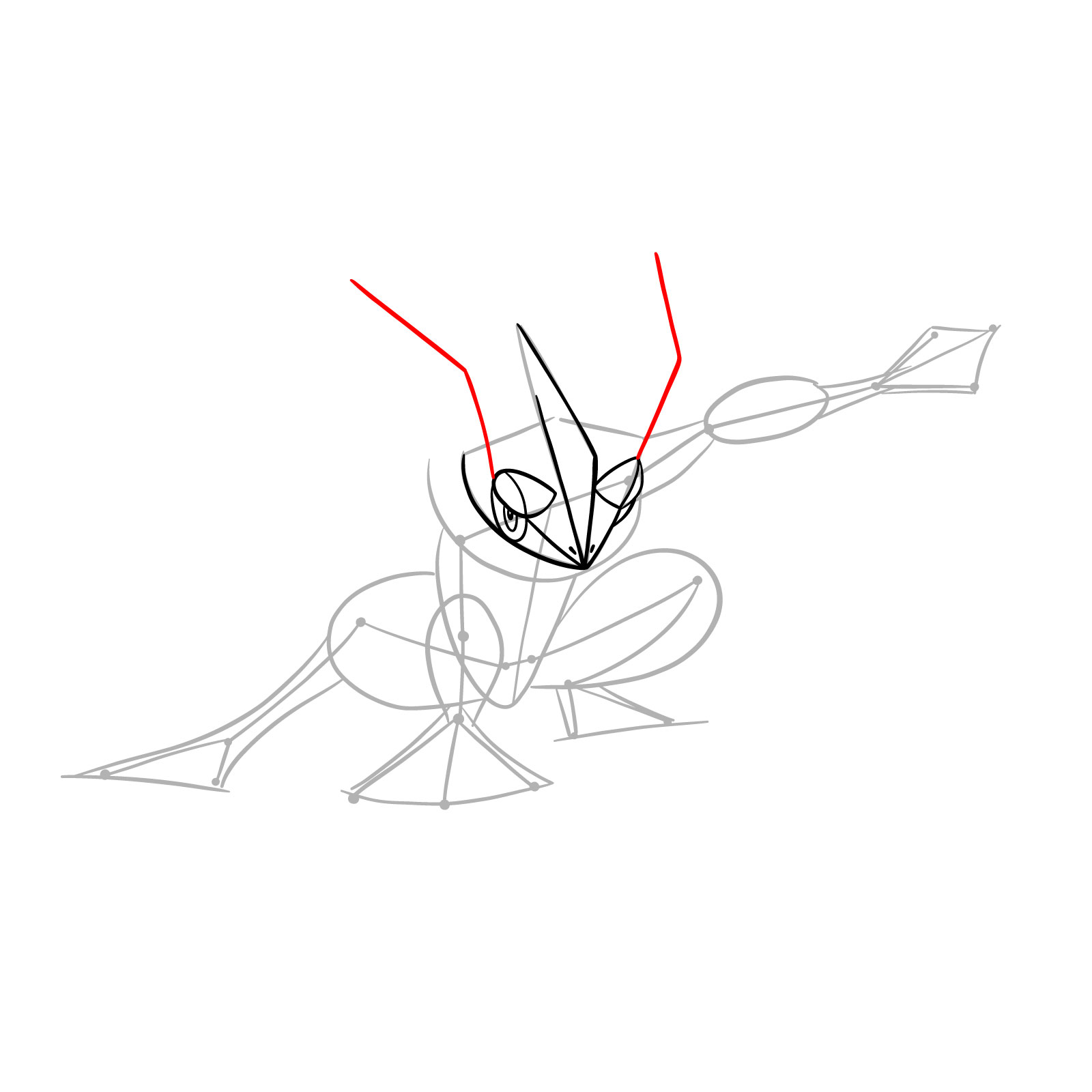 How to draw Greninja Pokemon - step 09