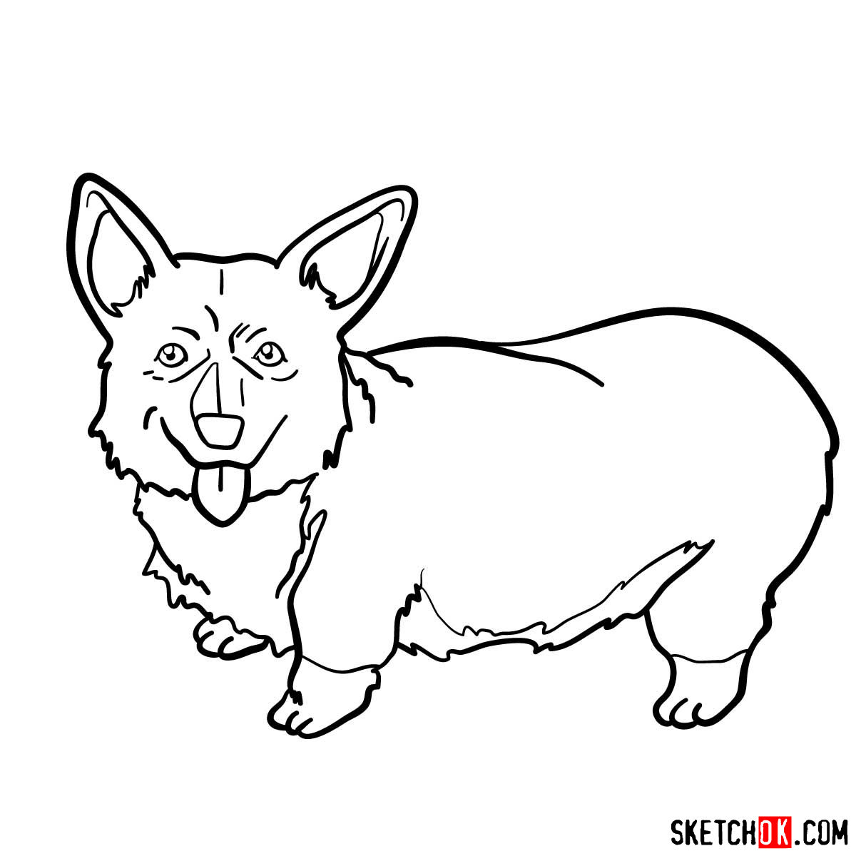 How to draw Ein from Cowboy Bebop