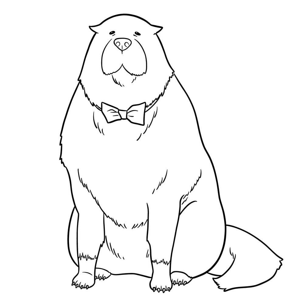 How to Draw Bond Forger from SPY x FAMILY: a Forger’s Pet
