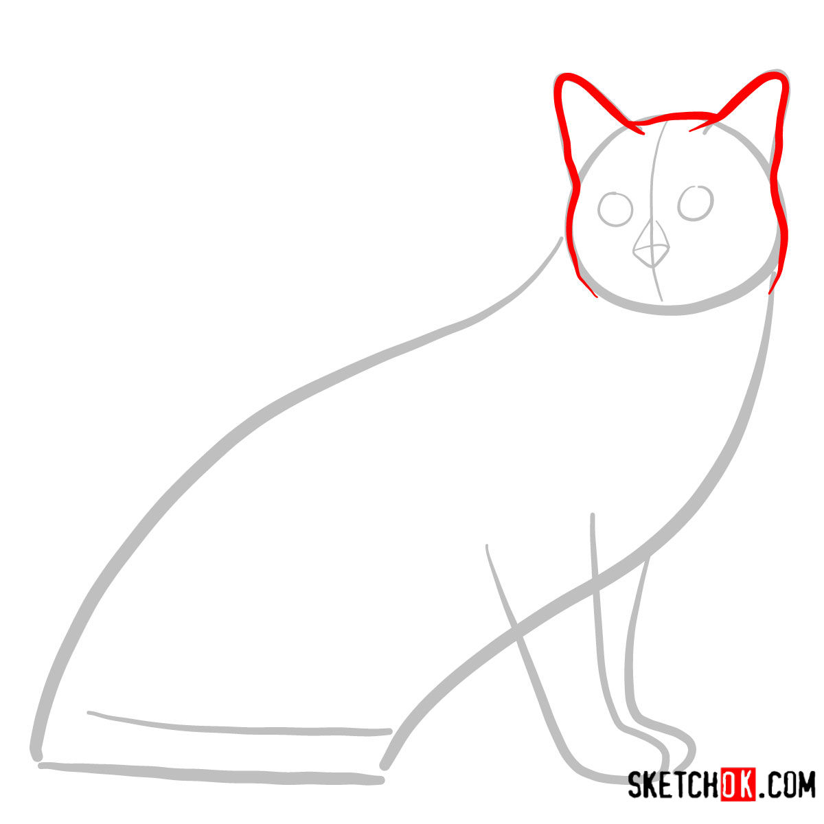 How to draw the Tonkinese cat - step 02