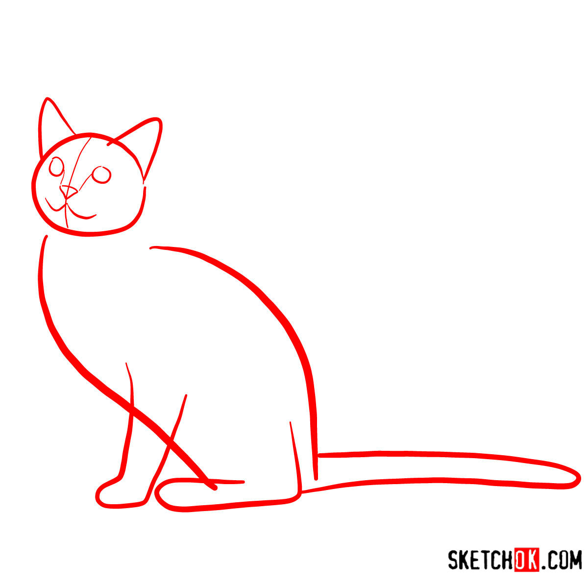 How to draw The Russian Blue cat - step 01