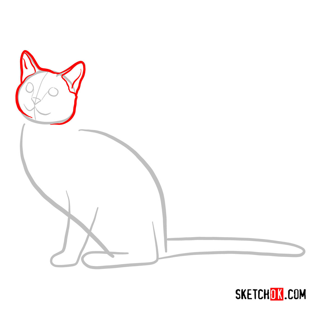 How to draw The Russian Blue cat - step 02