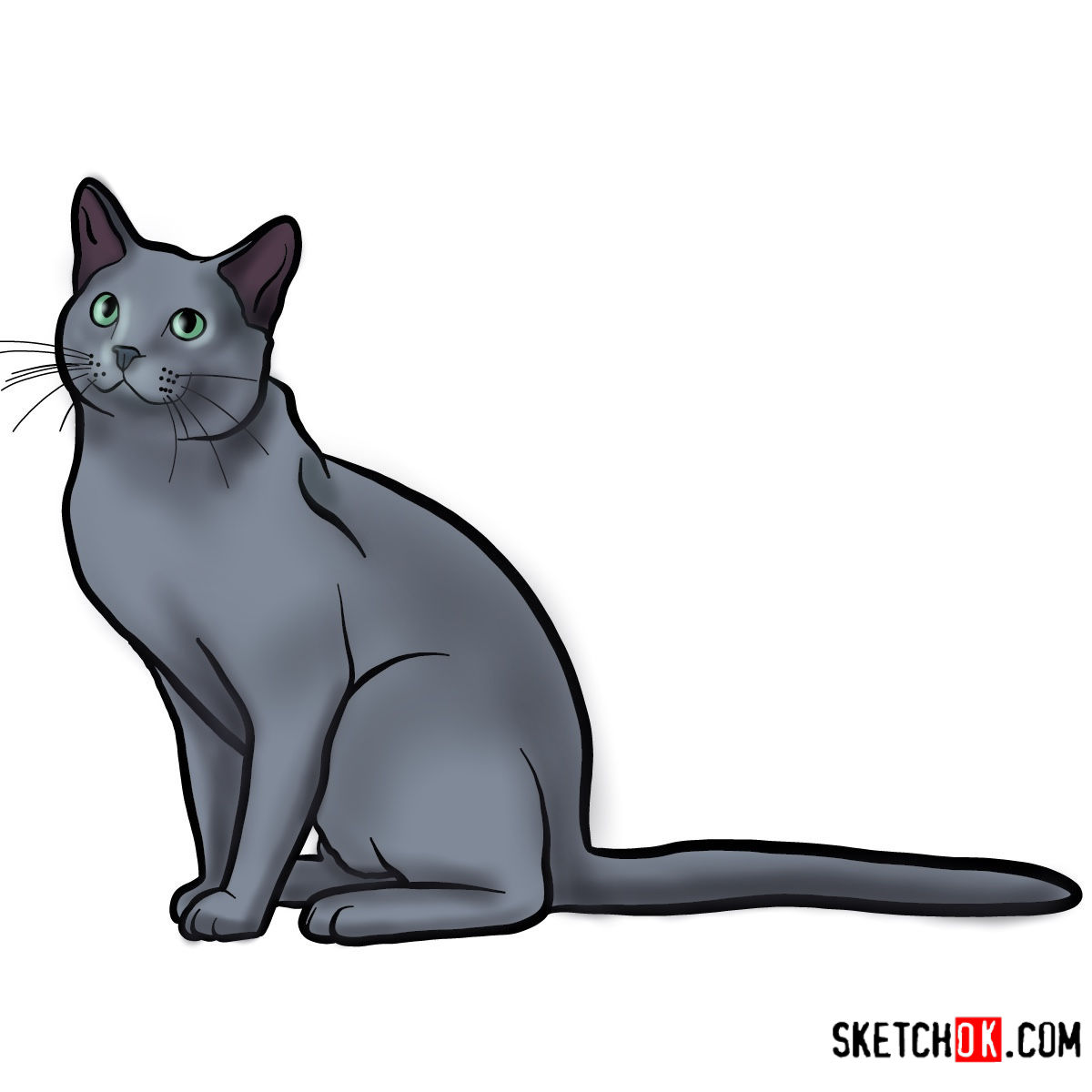 How to draw The Russian Blue cat