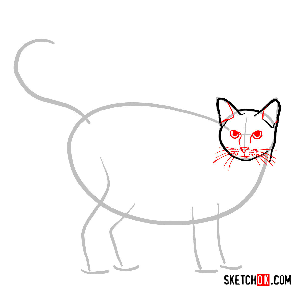 How to draw The Ocicat - step 03