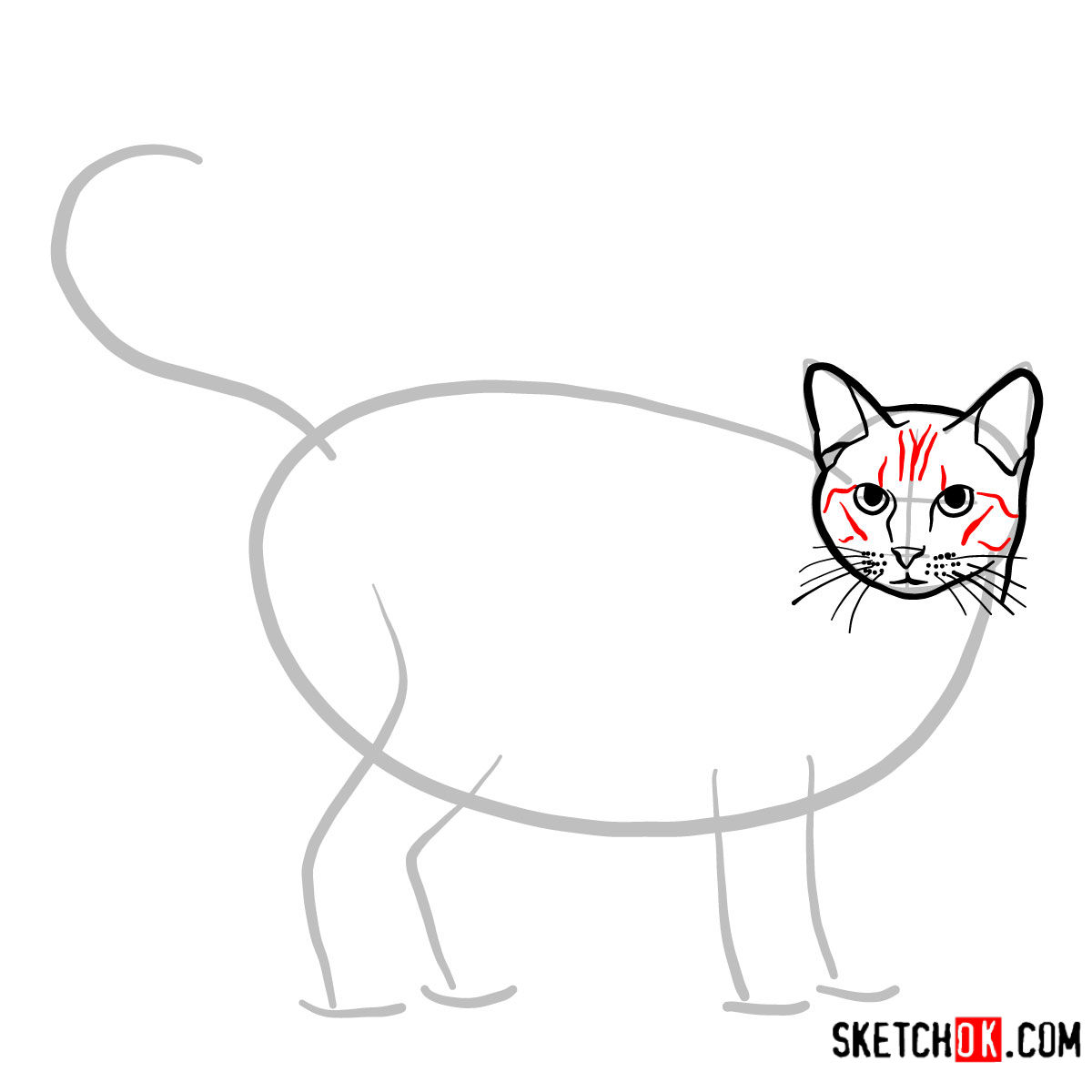 How to draw The Ocicat - step 04