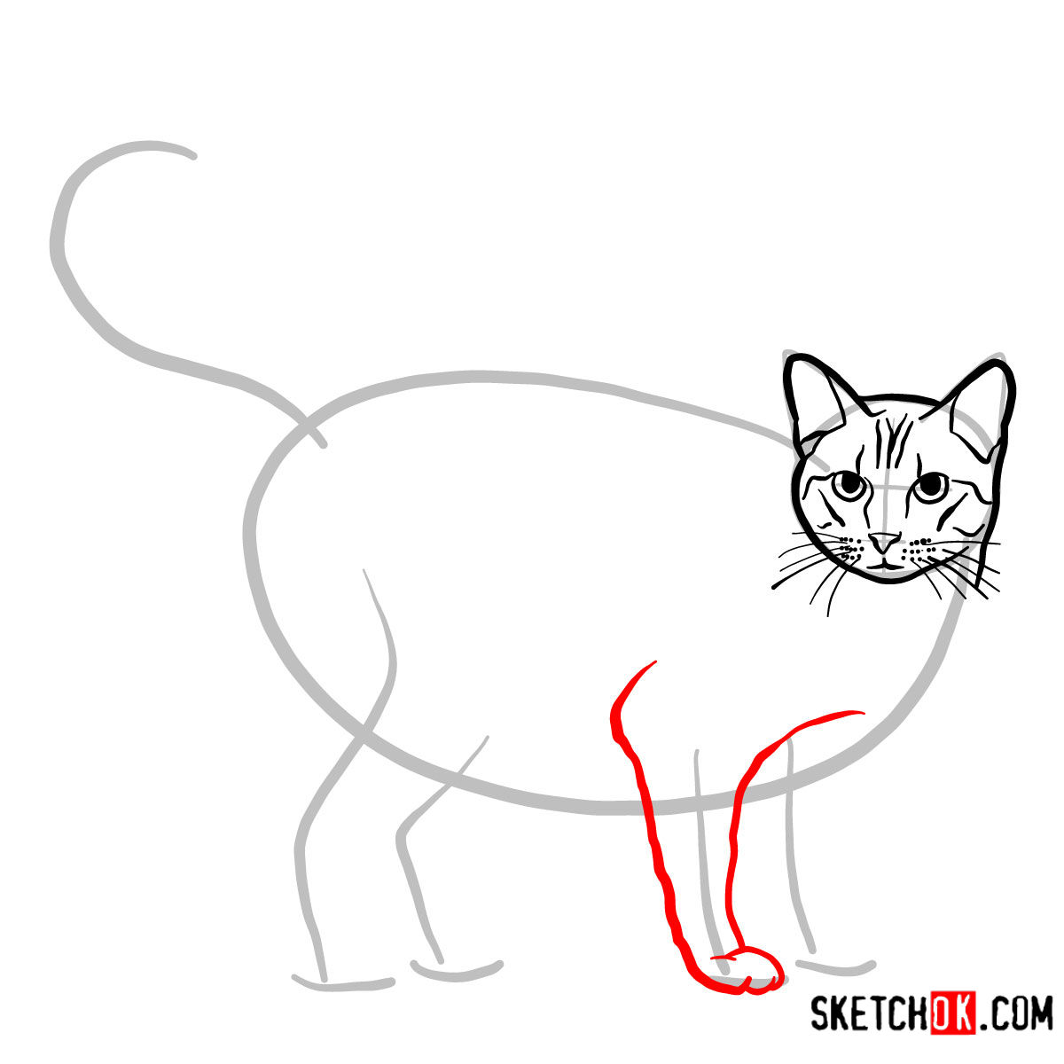 How to draw The Ocicat - step 05