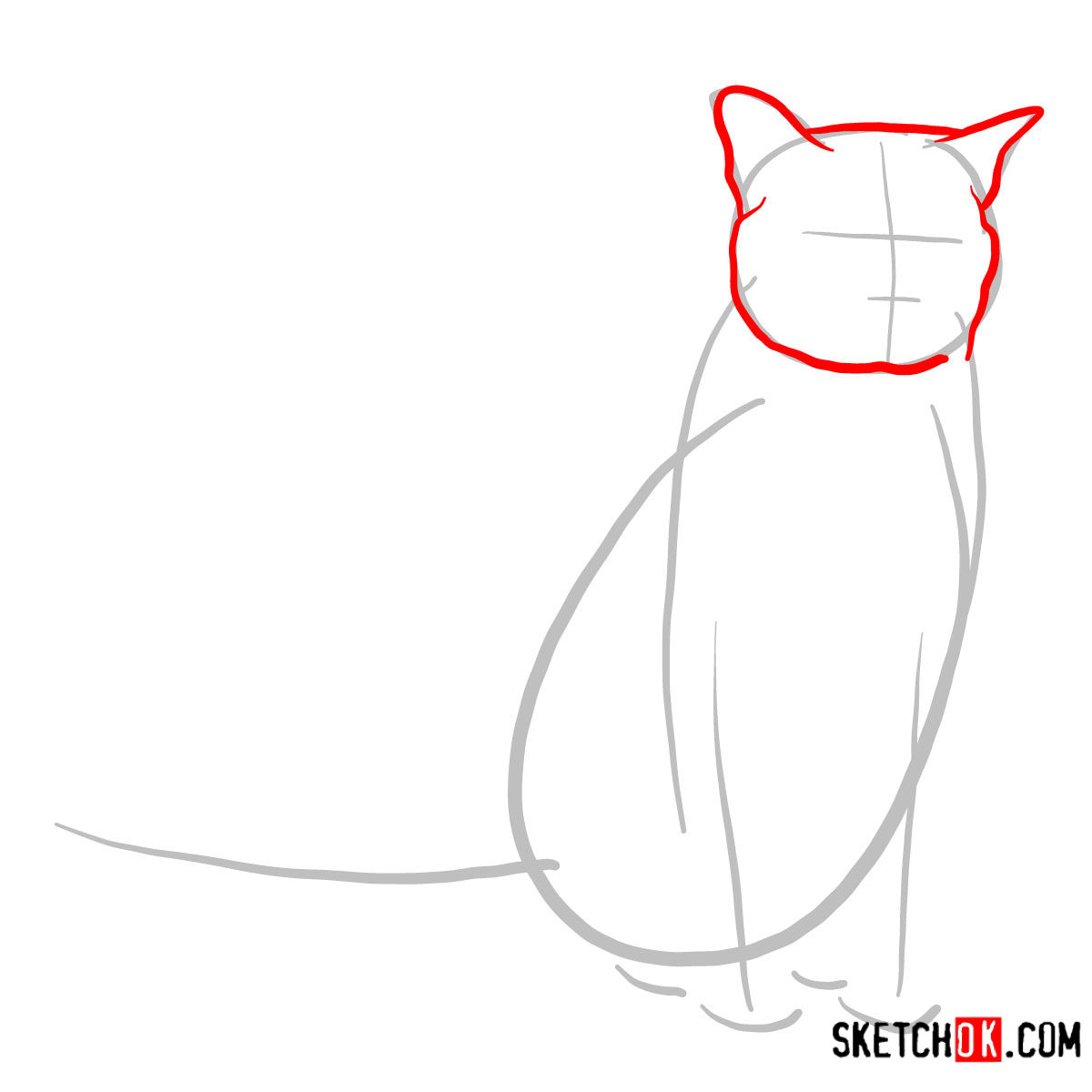 How to draw the Burmese cat - step 02