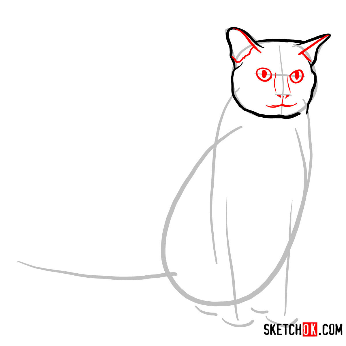 How to draw the Burmese cat - step 03