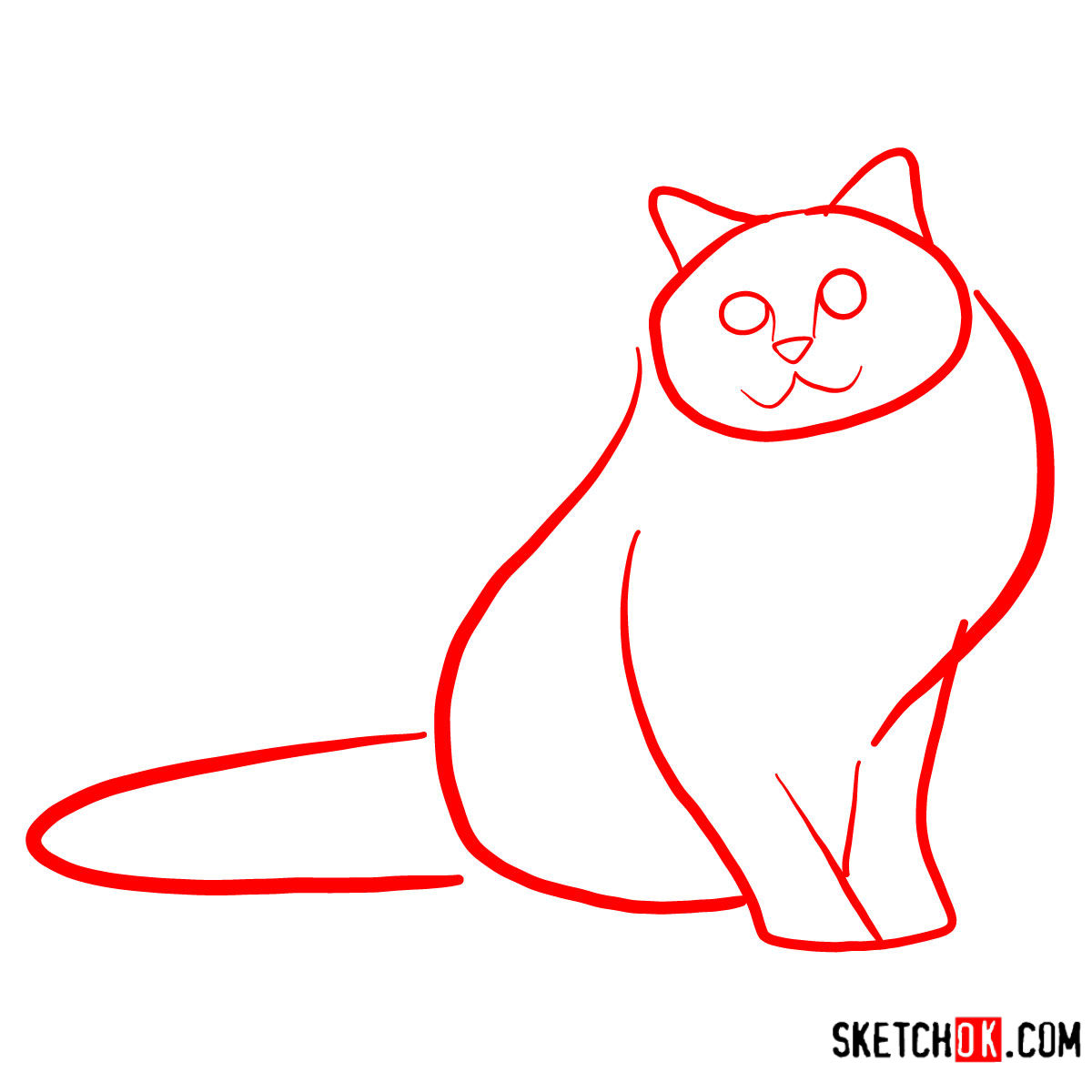 How to draw the Birman cat - step 01