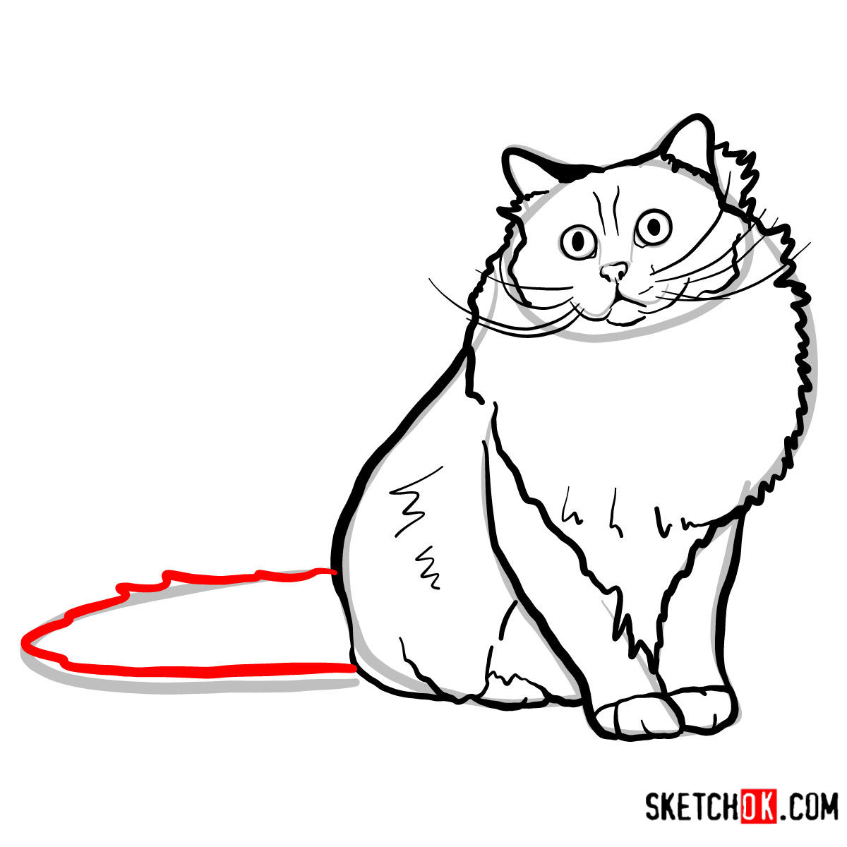 How to draw the Birman cat - step 07