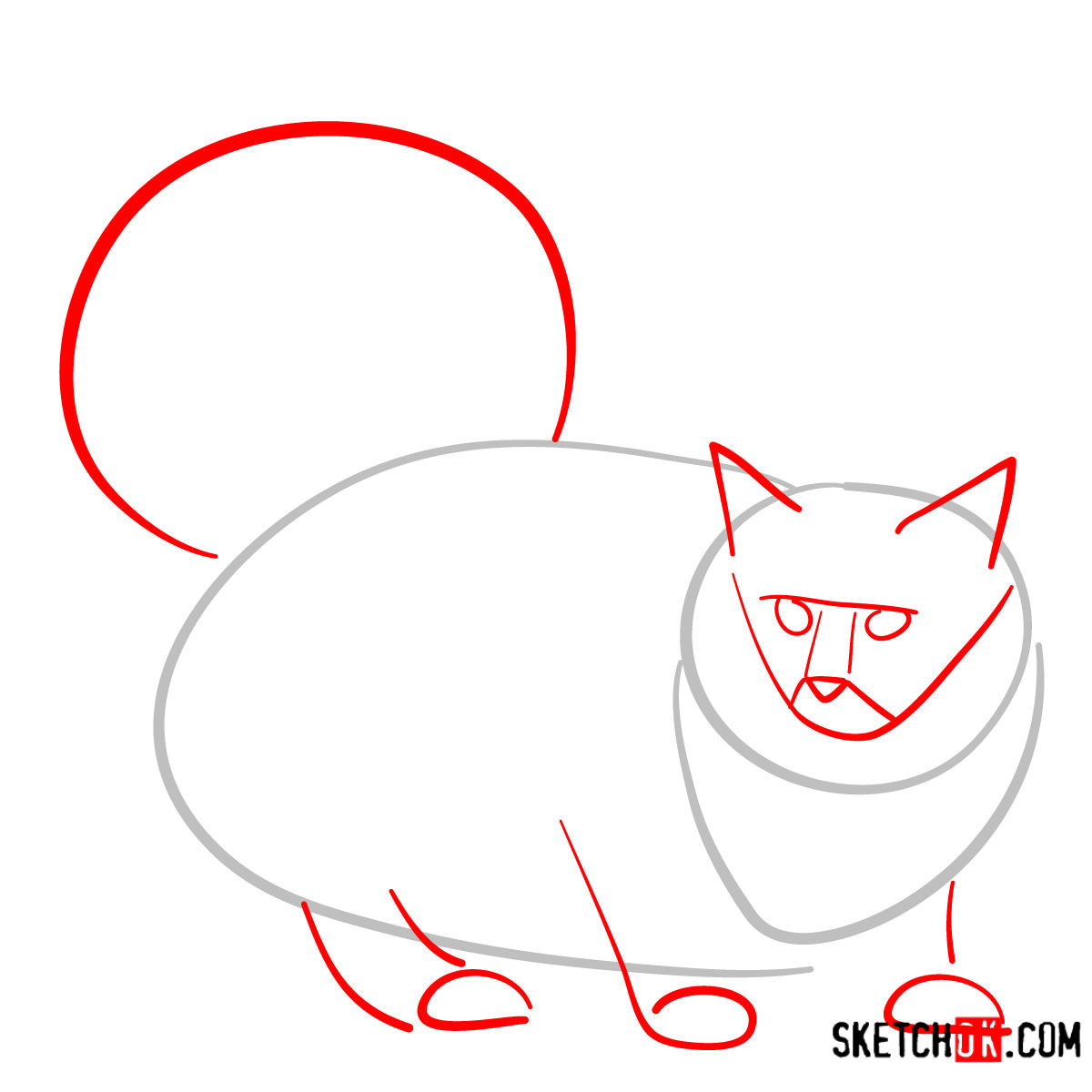 How to draw the Norwegian Forest cat - step 02