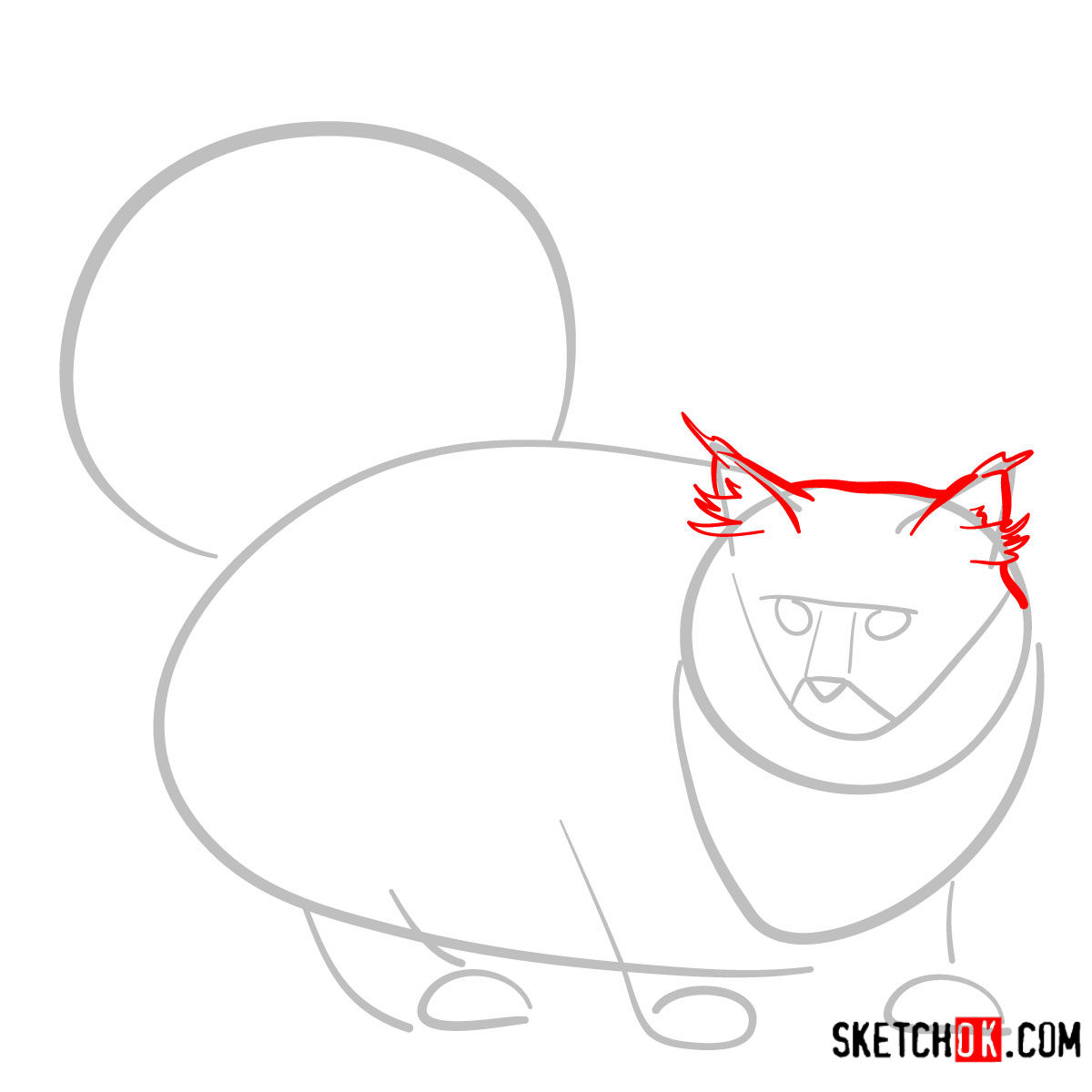 How to draw the Norwegian Forest cat - step 03