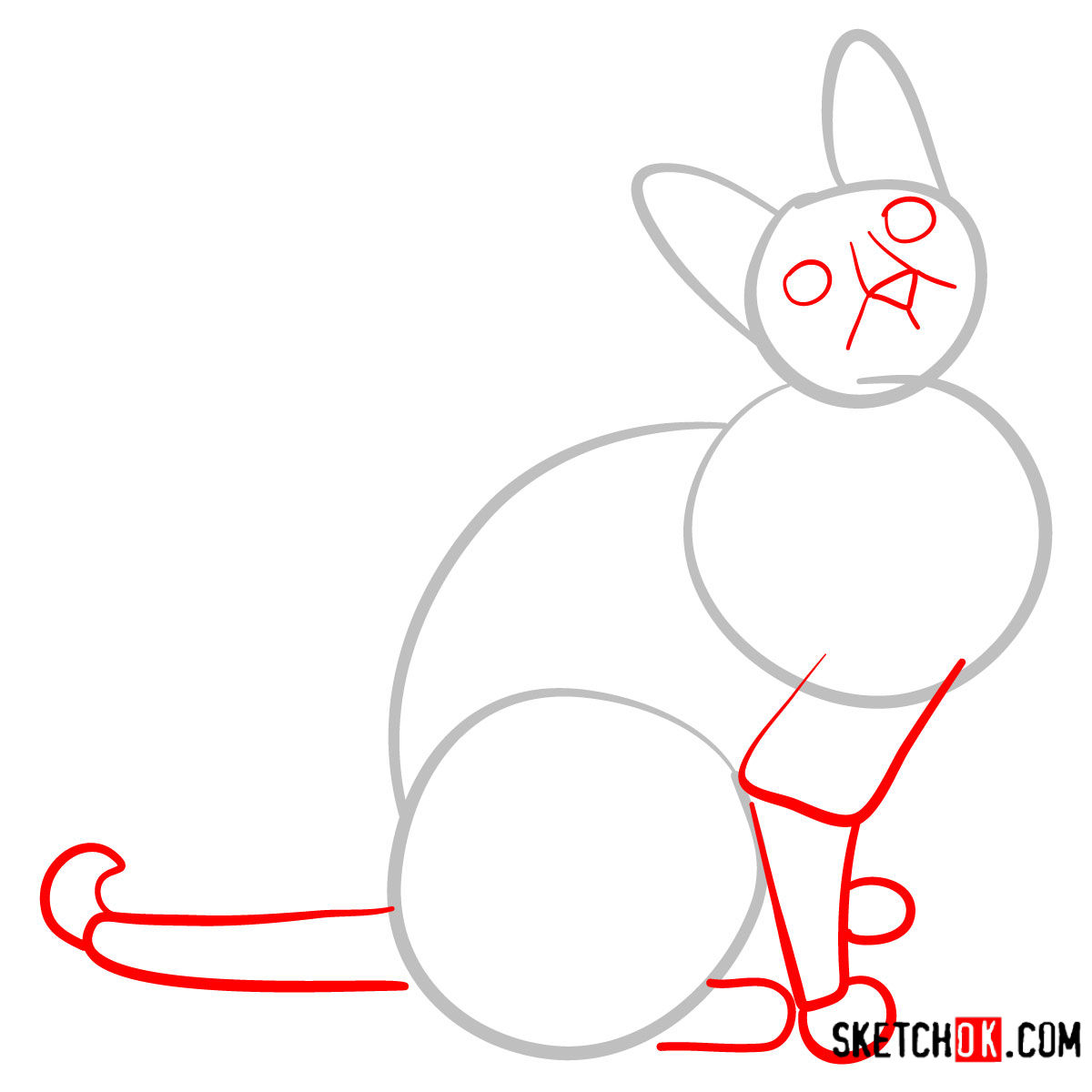 How to draw the Cornish Rex cat - step 02