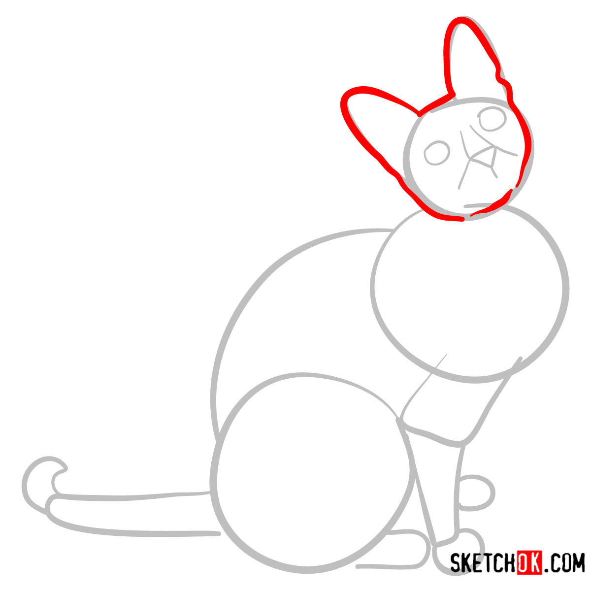 How to draw the Cornish Rex cat - step 03