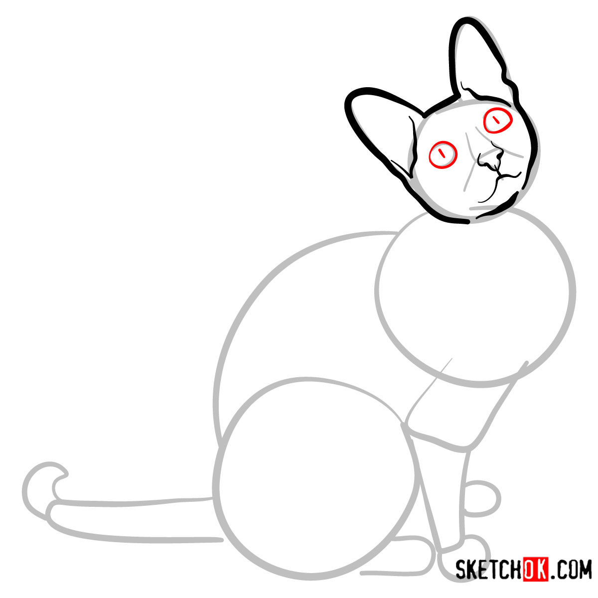 How to draw the Cornish Rex cat - step 05