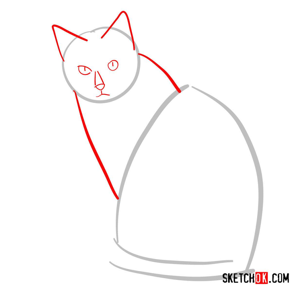 How to draw the Siamese cat - step 02