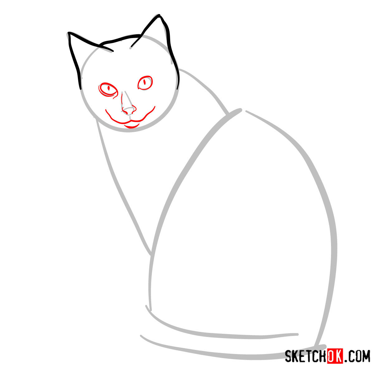How to draw the Siamese cat - step 04