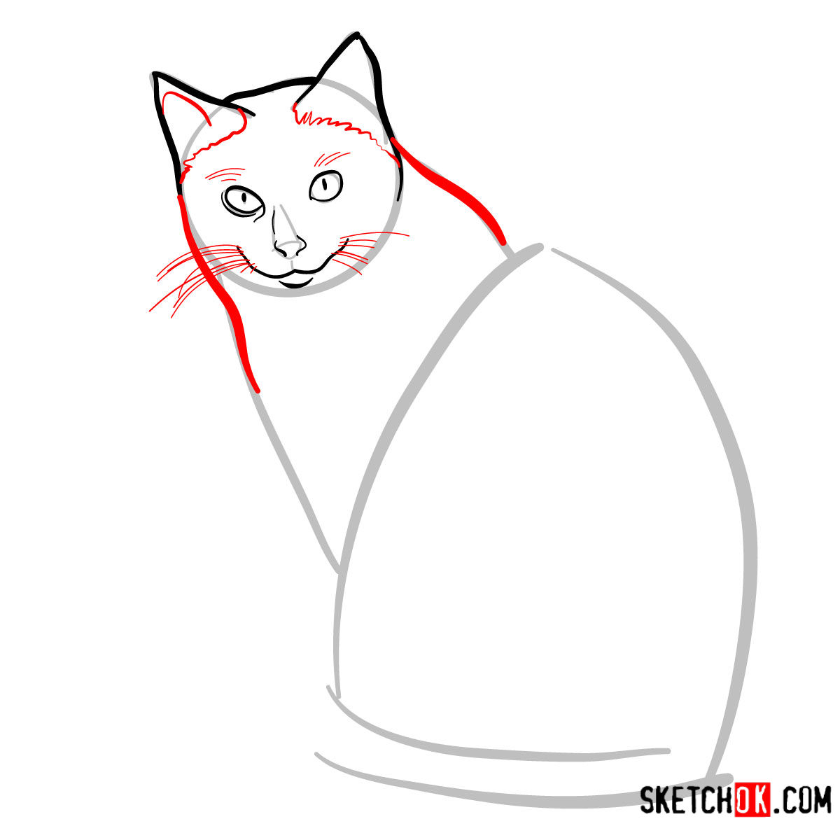 How to draw the Siamese cat - step 05