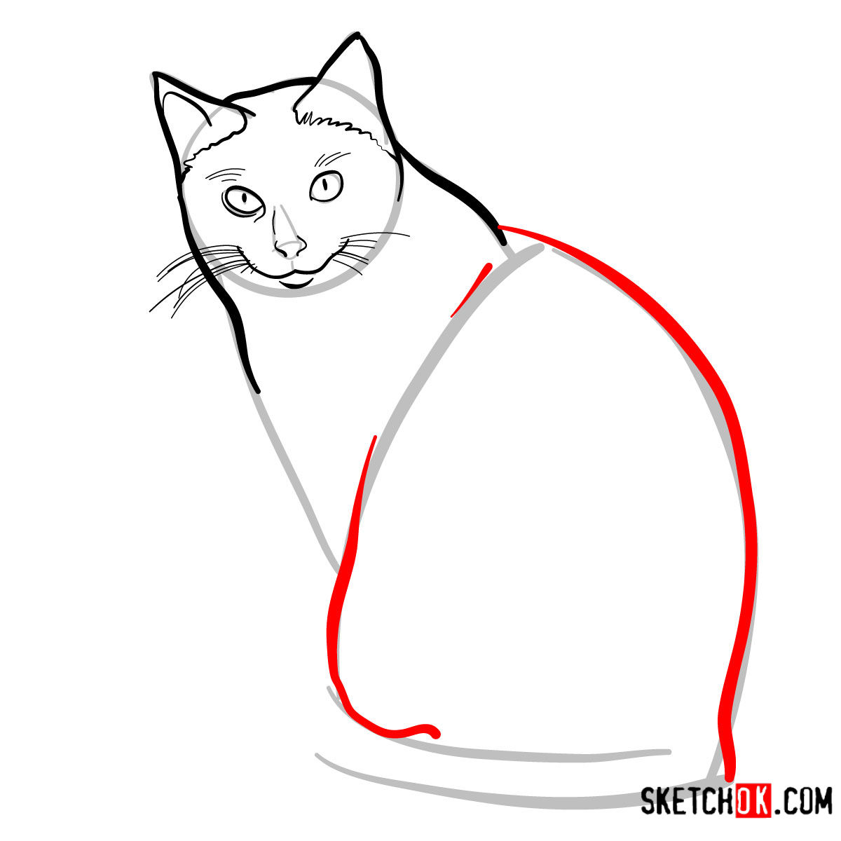 How to draw the Siamese cat - step 06
