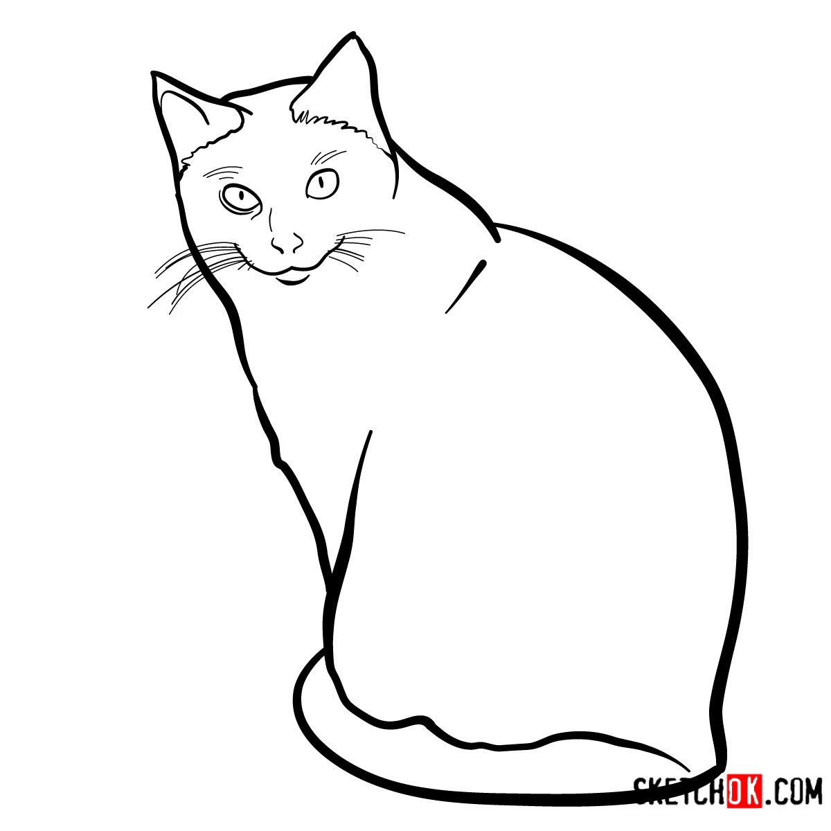 How to draw the Siamese cat - step 08
