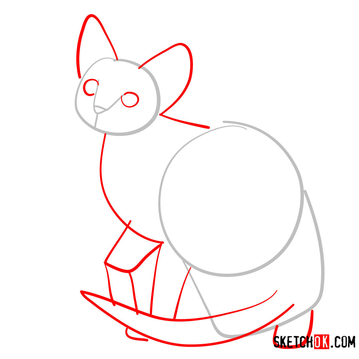 How to draw the Devon Rex cat - step 02