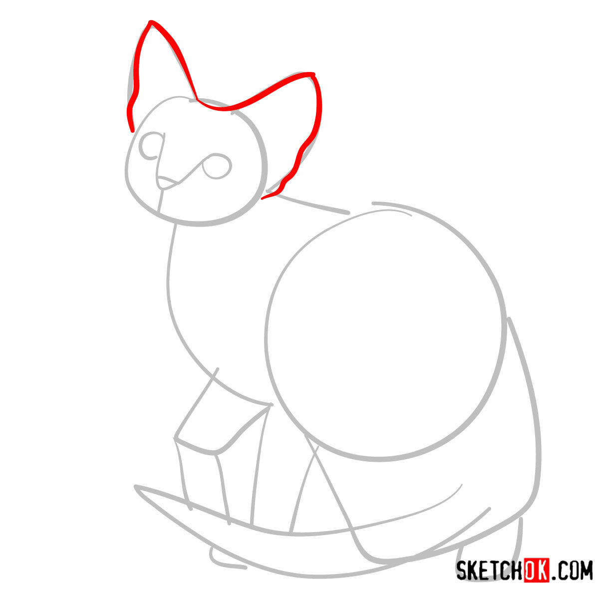 How to draw the Devon Rex cat - step 03