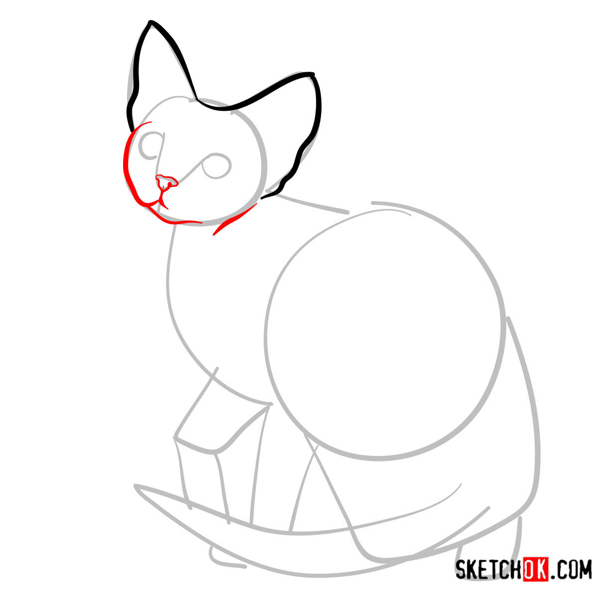 How to draw the Devon Rex cat - step 04