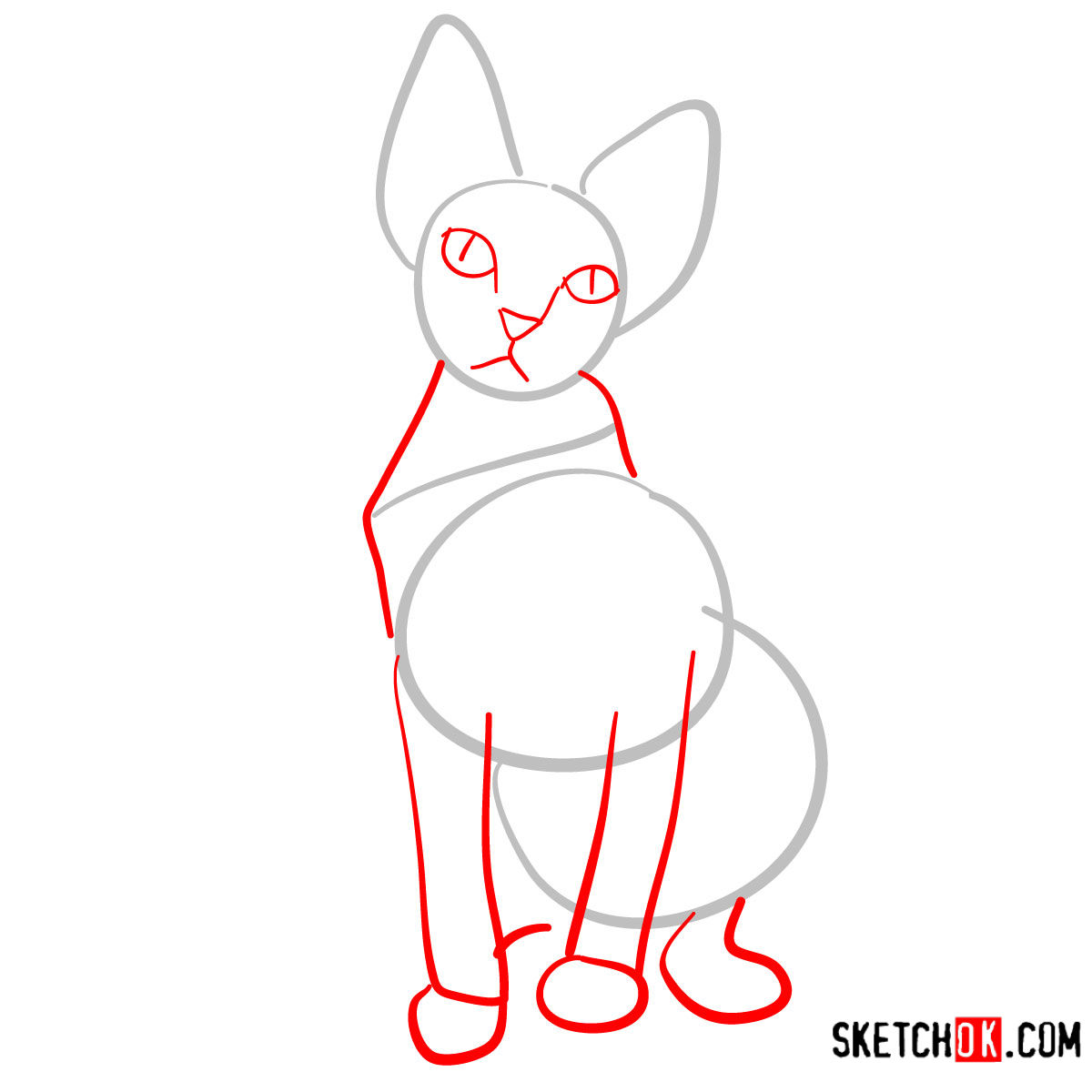 How to draw the Sphynx cat - step 02