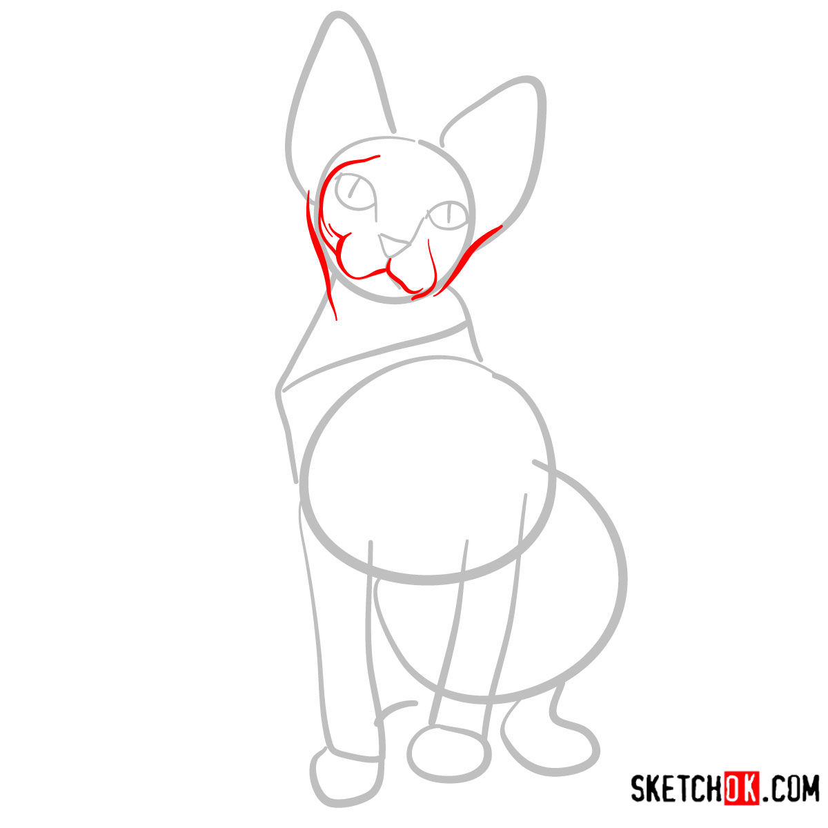 How to draw the Sphynx cat - step 03