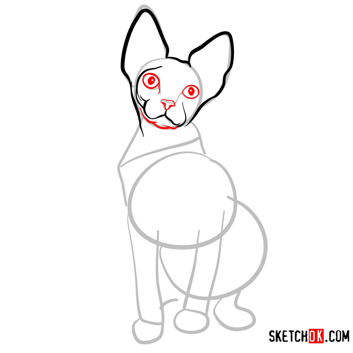 How to draw the Sphynx cat - step 05