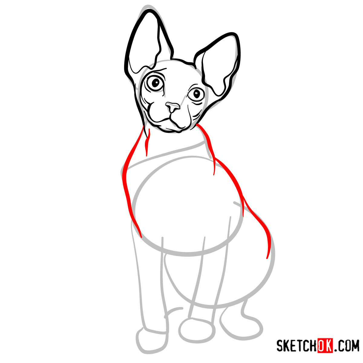 How to draw the Sphynx cat - step 07