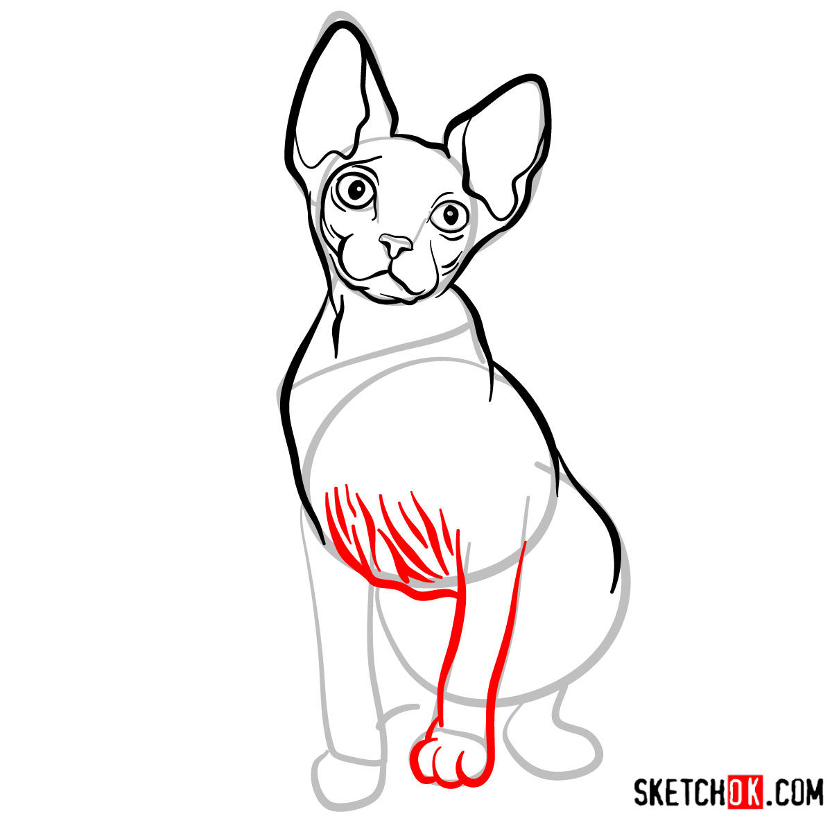 How to draw the Sphynx cat - step 08