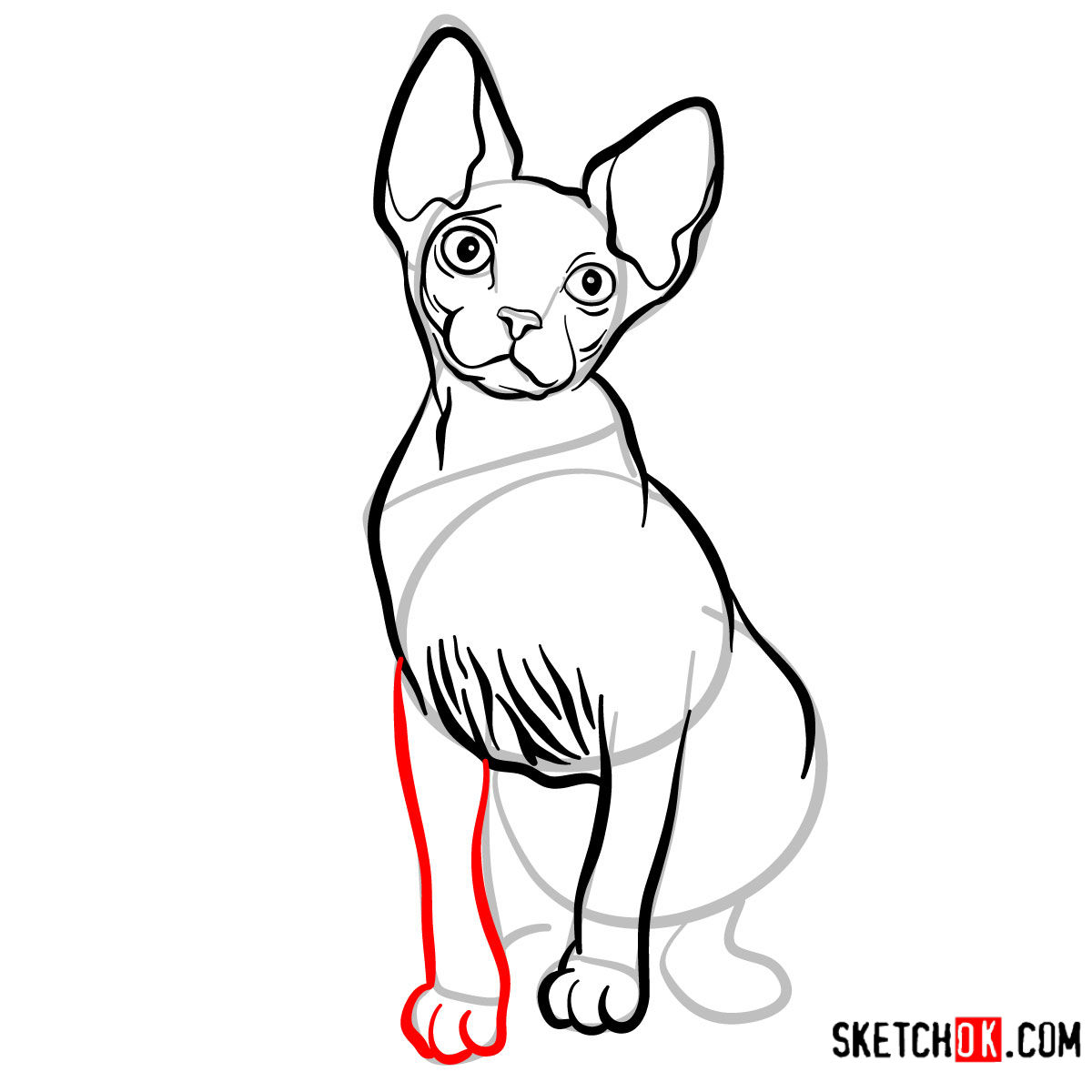 How to draw the Sphynx cat - step 09