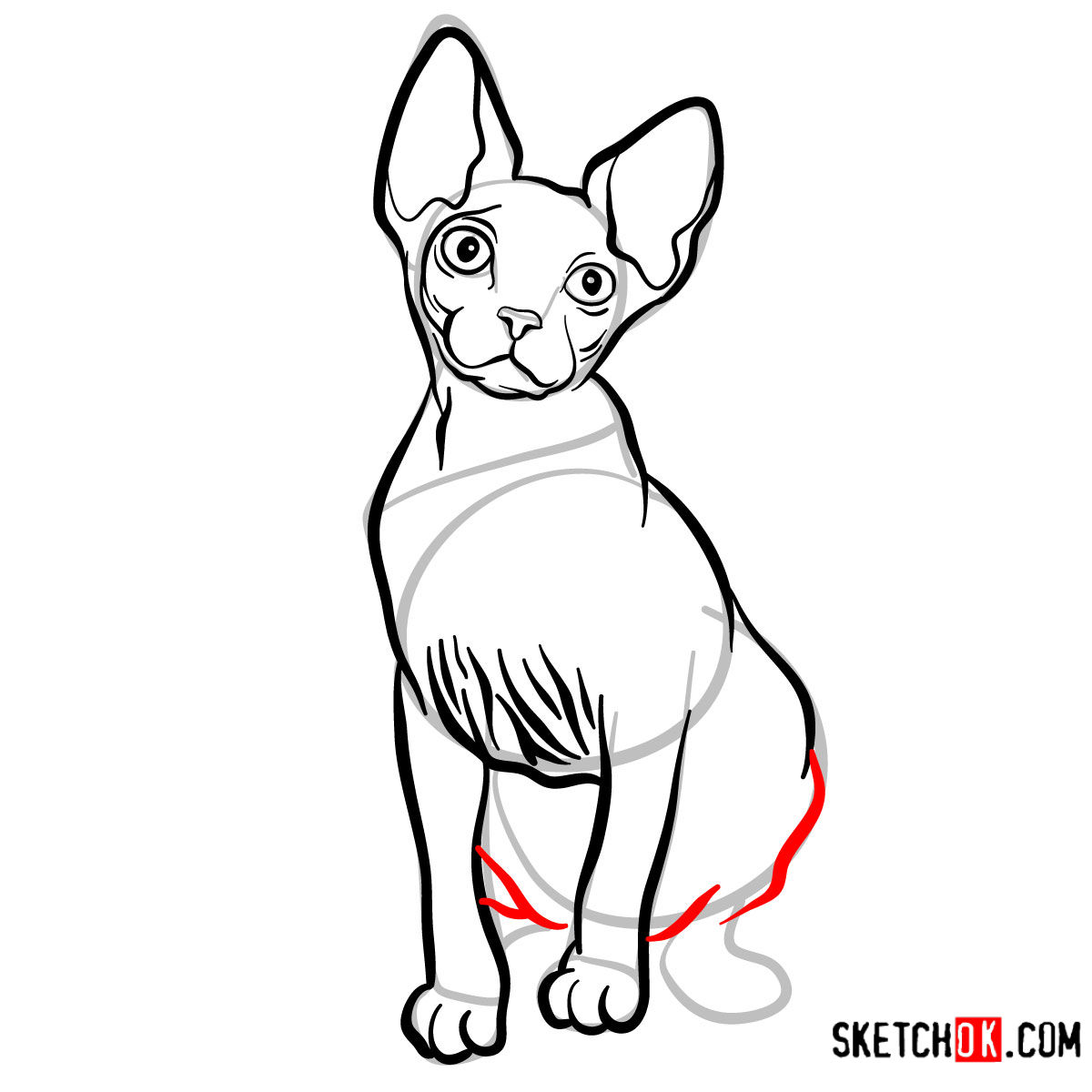 How to draw the Sphynx cat - step 10