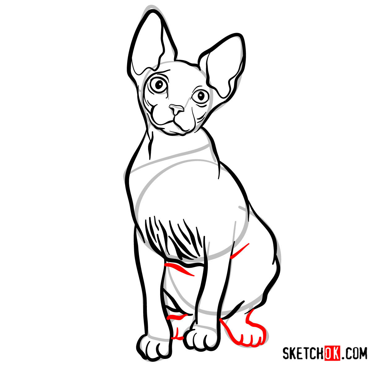 How to draw the Sphynx cat - step 11