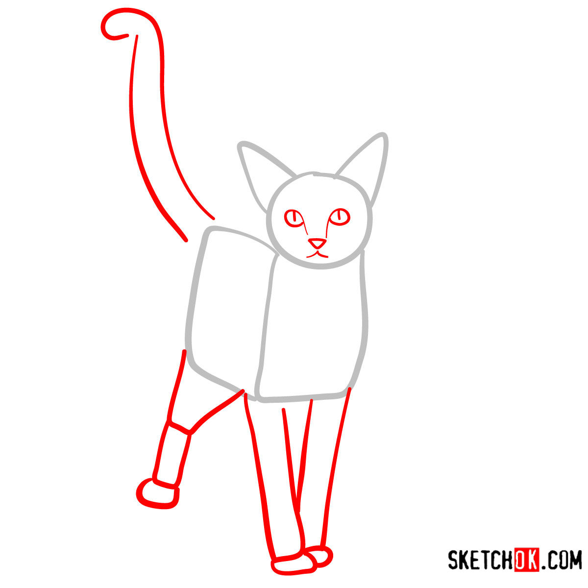 How to draw the Abyssinian cat - step 02