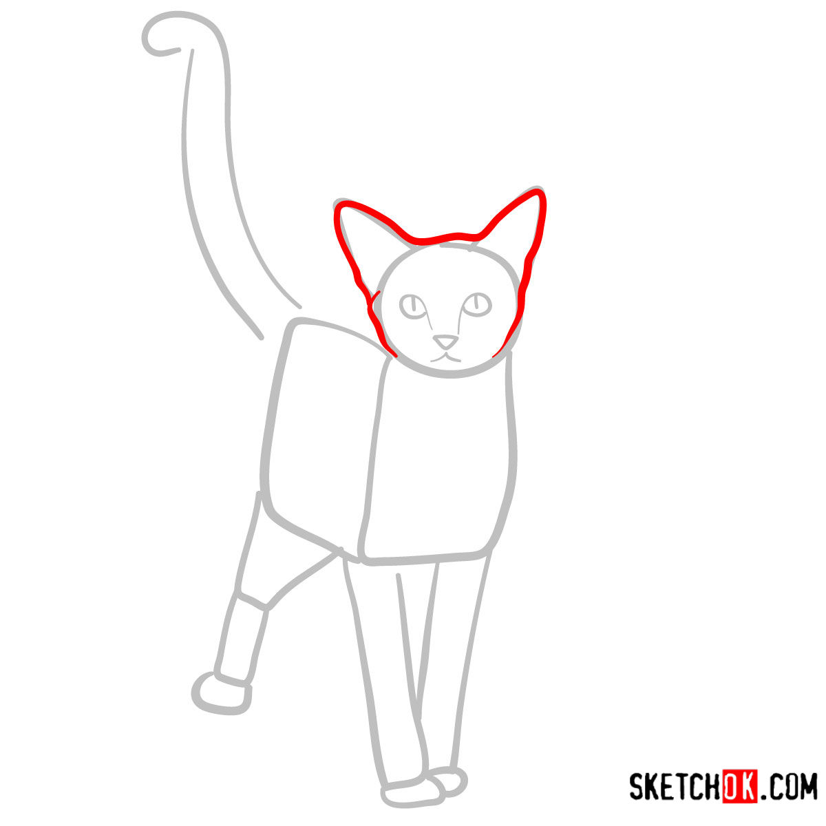 How to draw the Abyssinian cat - step 03
