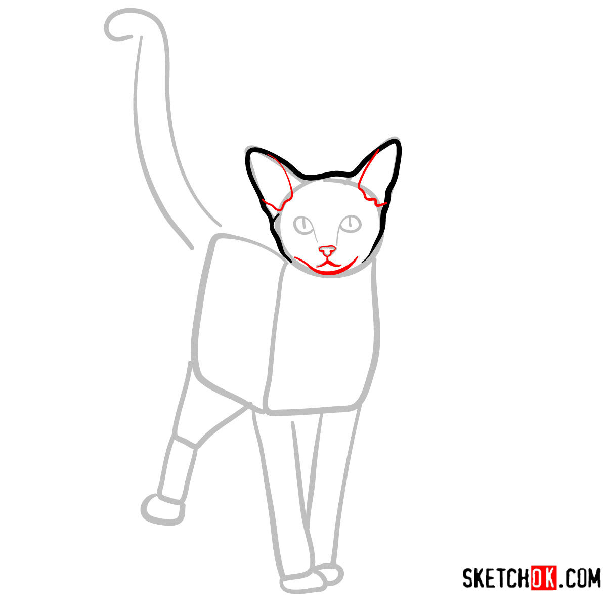 How to draw the Abyssinian cat - step 04