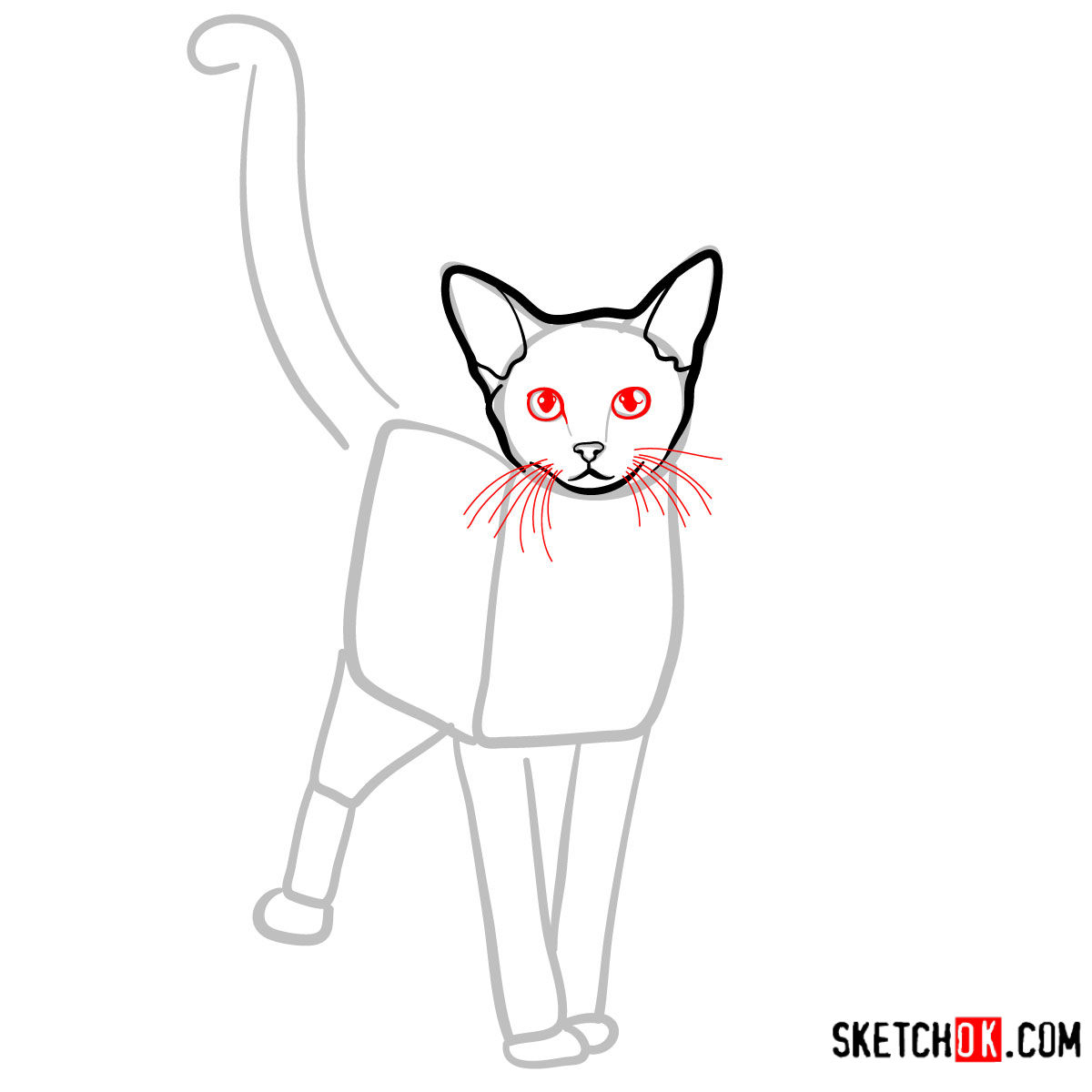 How to draw the Abyssinian cat - step 05