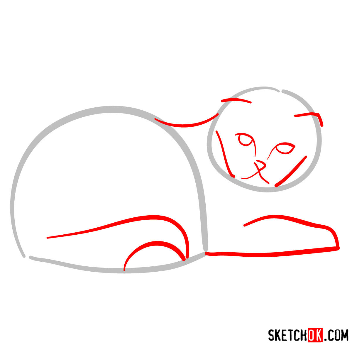 How to draw the Scottish Fold cat - step 02